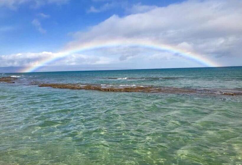 شقة ديلوكس غرفة واحدة, Lahaina Wonderful Condos