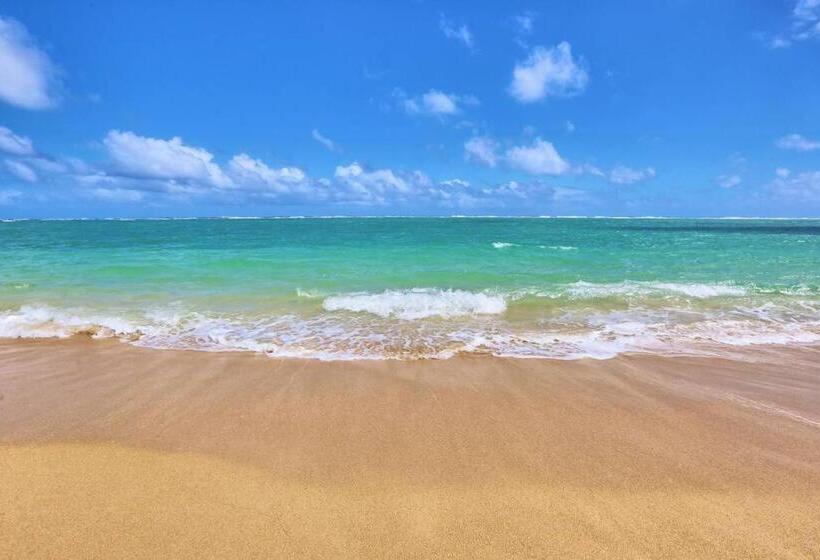 شقة ديلوكس غرفة واحدة, Lahaina Wonderful Condos