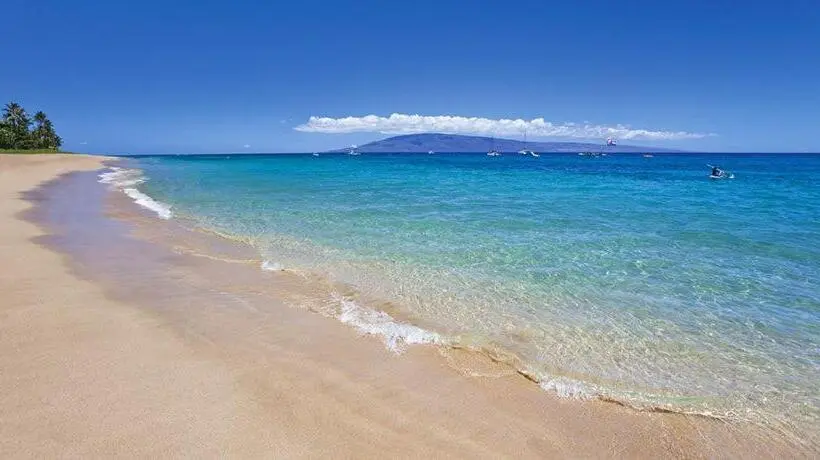1ベッドルームのデラックスアパートメント, Lahaina Wonderful Condos