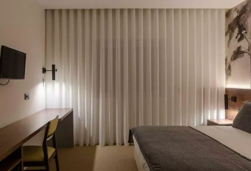 エクゼクティブルーム, Afonso V & Spa