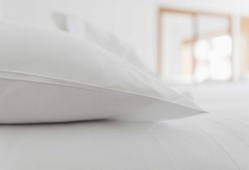 标准间带露台, Alfonso I