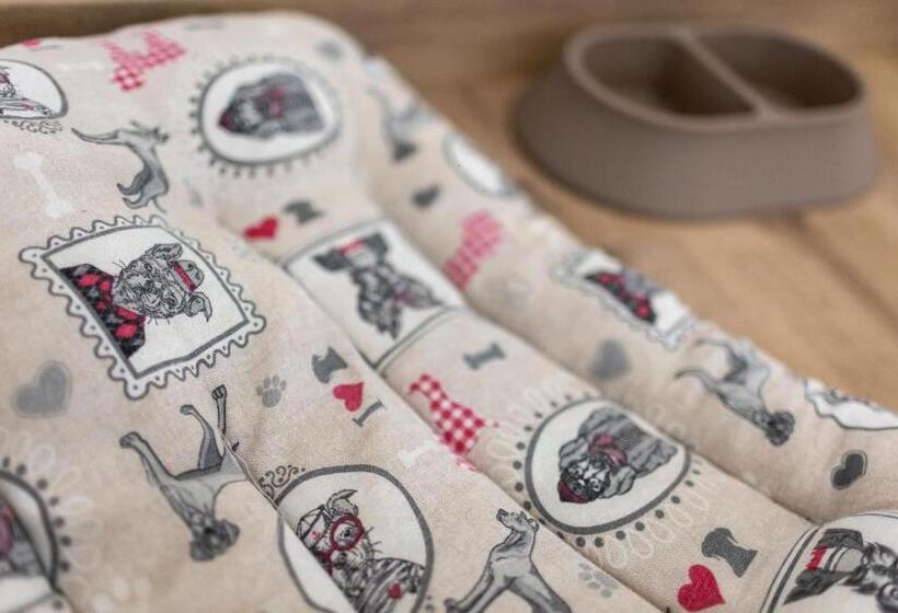 标准间内部标间, Alfonso I