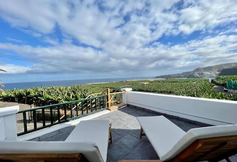 海景套房, El Patio