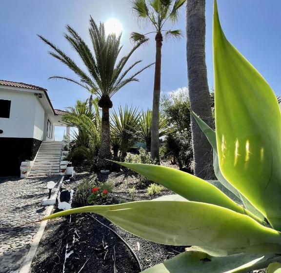 带1个卧室的别墅, El Patio