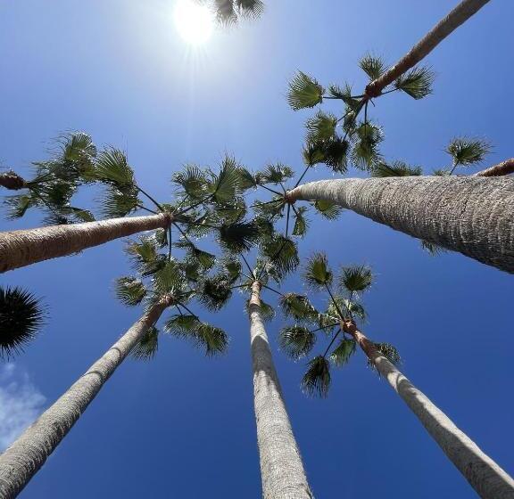 带1个卧室的别墅, El Patio