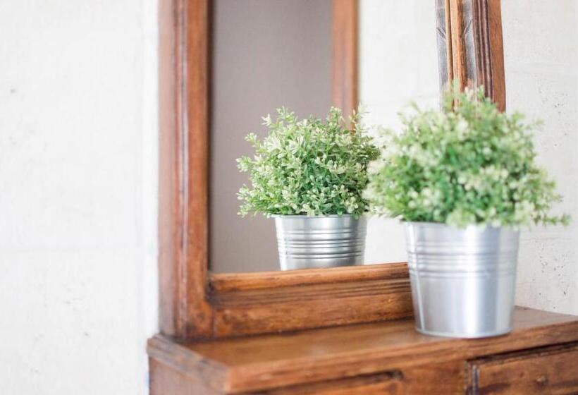 اتاق استاندارد, La Posada De Manolo