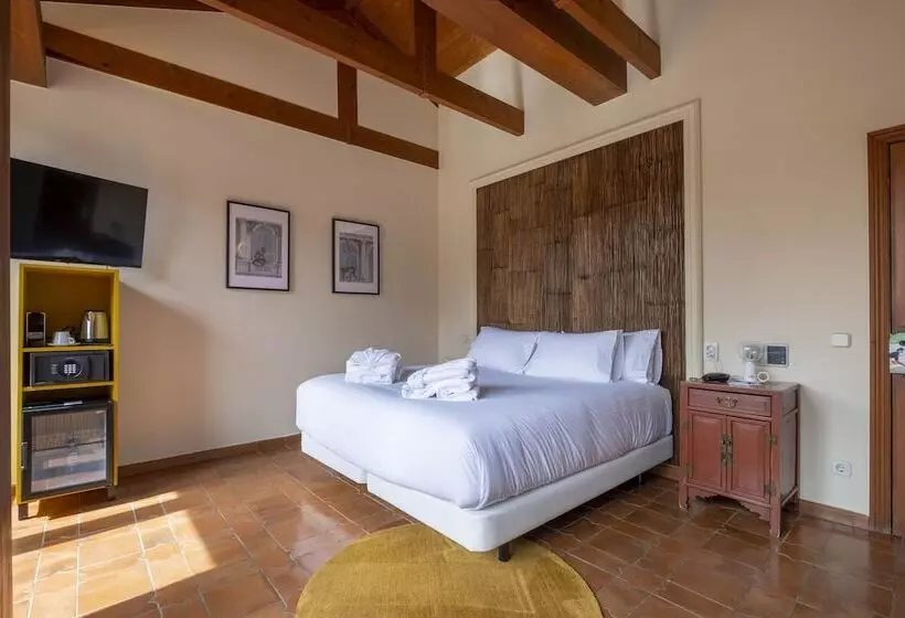 اتاق استاندارد, Cetina Palacio Ayala Berganza