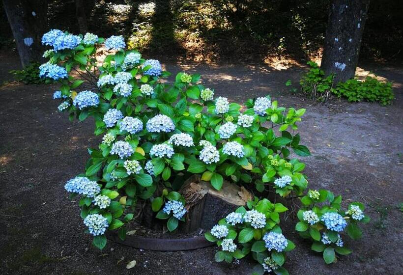Номер Стандарт Вид на Горы, El Jardin Del Conde