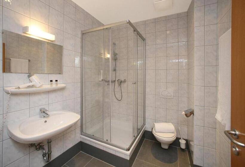 스탠다드 룸 호수 전망, Seehotel Sissi