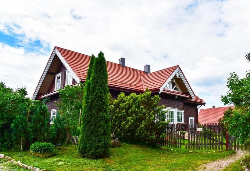 اتاق خانوادگی, Sunny Beaver B&b