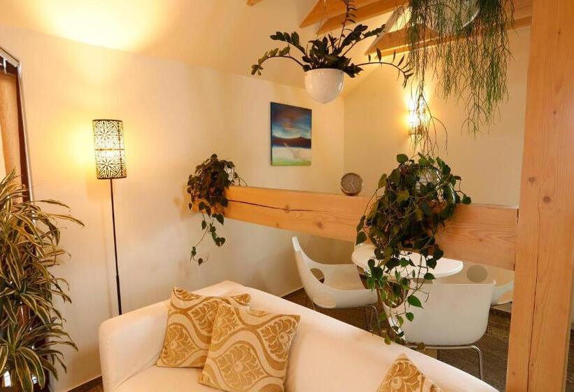 דירת חדר סופריור, Apart Hotel Jablonec