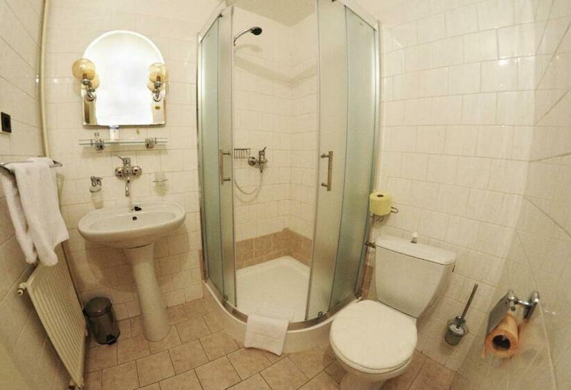 标准单人间, Růžek