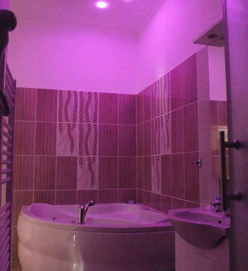 豪华房间, Růžek