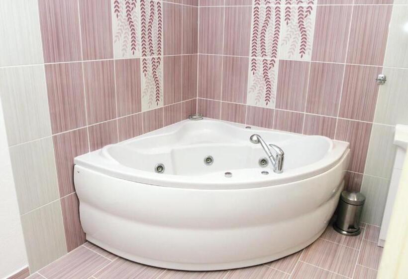 豪华房间, Růžek