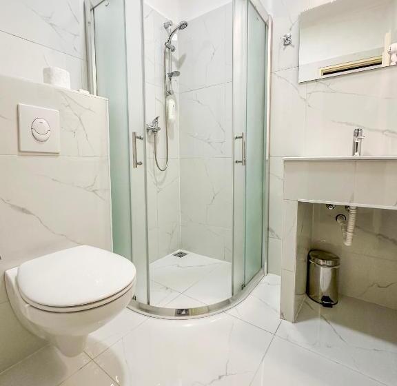 标准单人间, Růžek