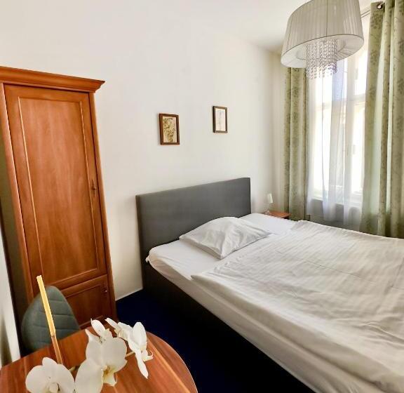 标准单人间, Růžek