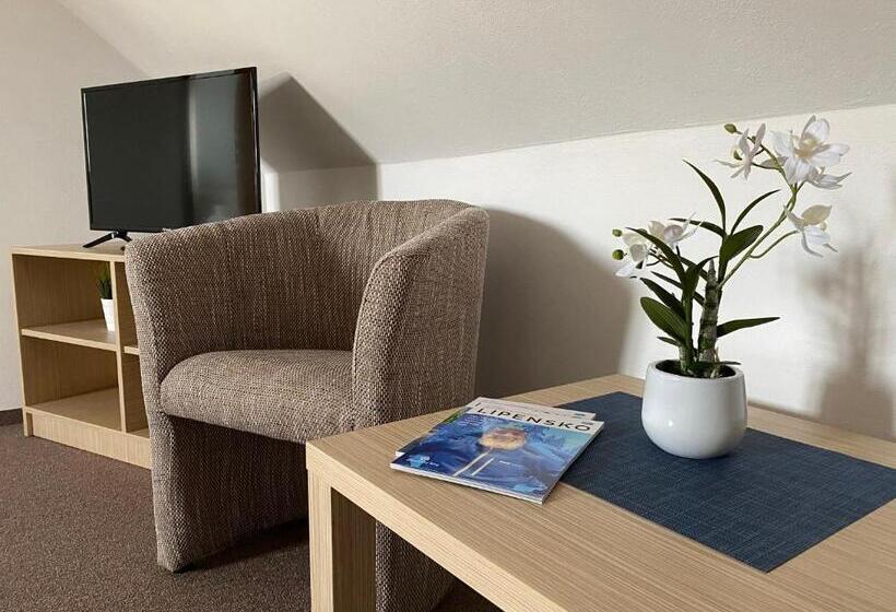 4인용 스탠다드 룸, Penzion Sen