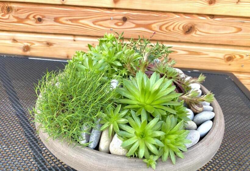 침실 2개 아파트, Penzion Sen