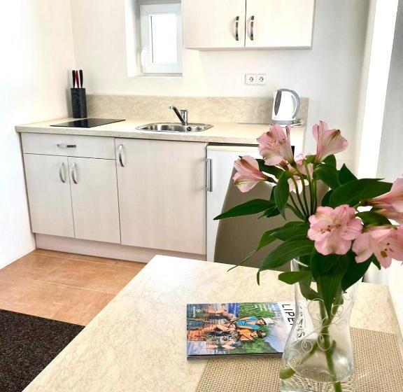 컴포트 트리플 룸, Penzion Sen