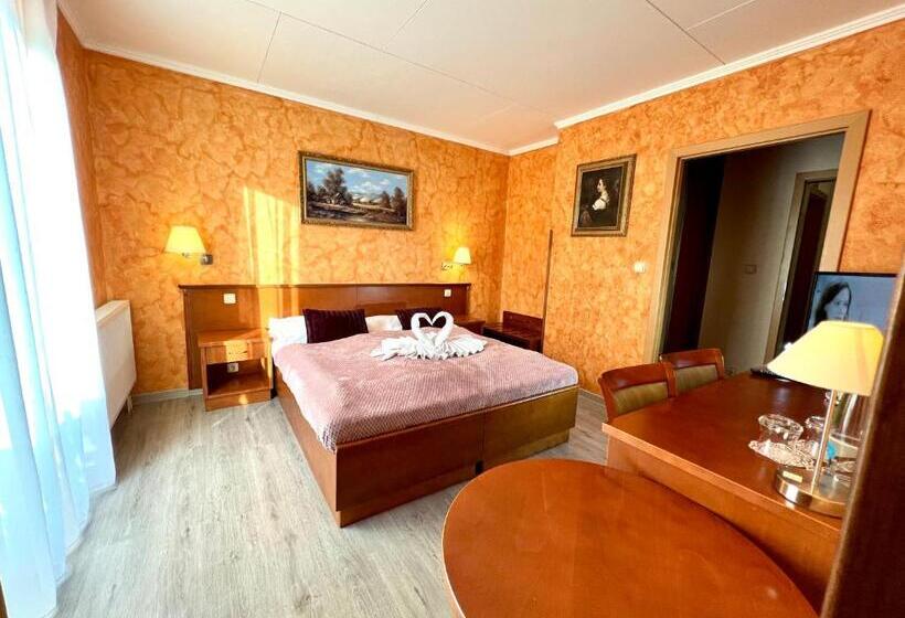 غرفة سوبيريور, Schlosshotel Marienbad