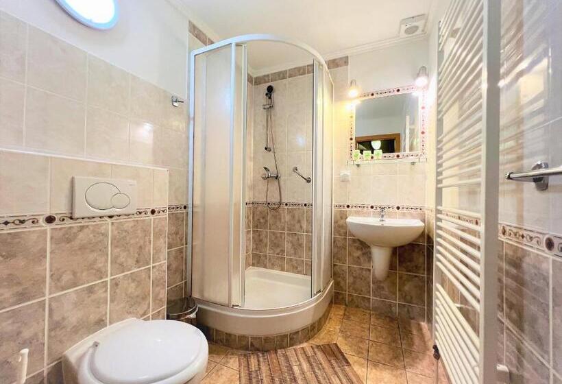 غرفة قياسية فردية, Schlosshotel Marienbad