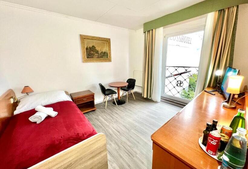 غرفة قياسية فردية, Schlosshotel Marienbad