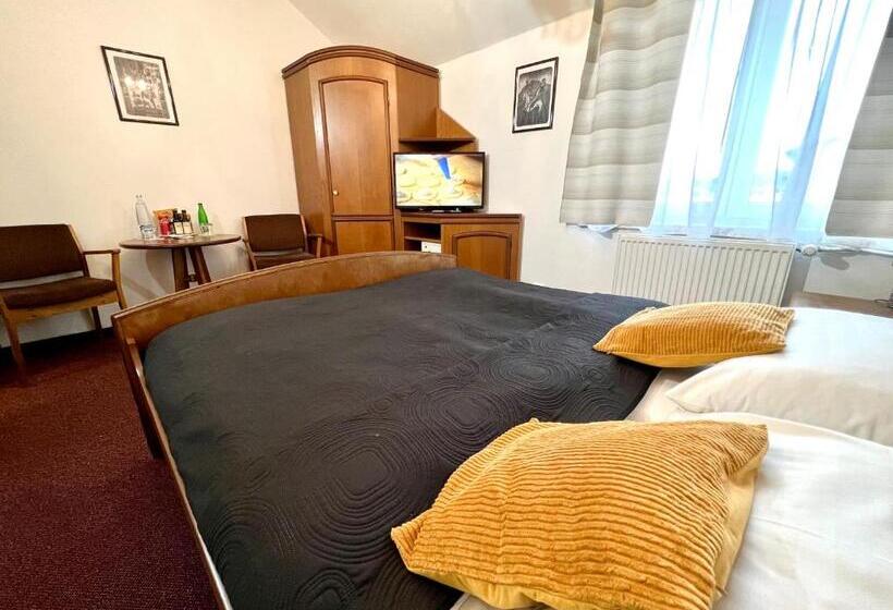 غرفة قياسية, Schlosshotel Marienbad