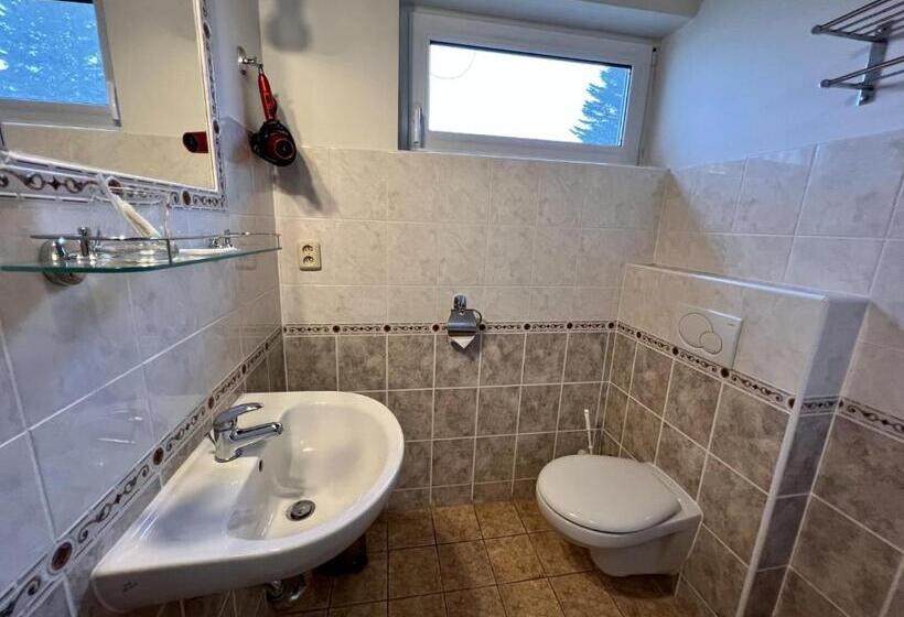 غرفة سوبيريور, Schlosshotel Marienbad