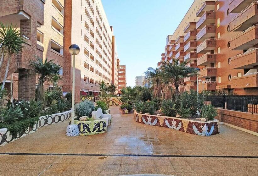 شقة 3 غرف, Apartamentos Coral   Marfil Marina Dor 3000