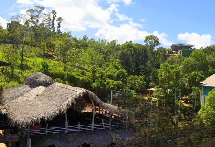 Cameră de lux  Interior, Pub Ceylon Hostel