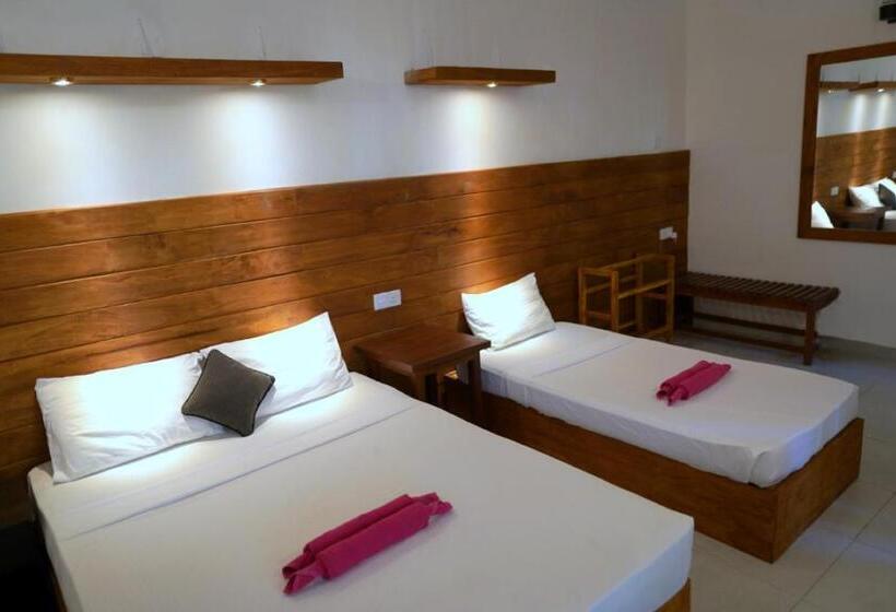 Cameră Standard cu Terasă, Pub Ceylon Hostel