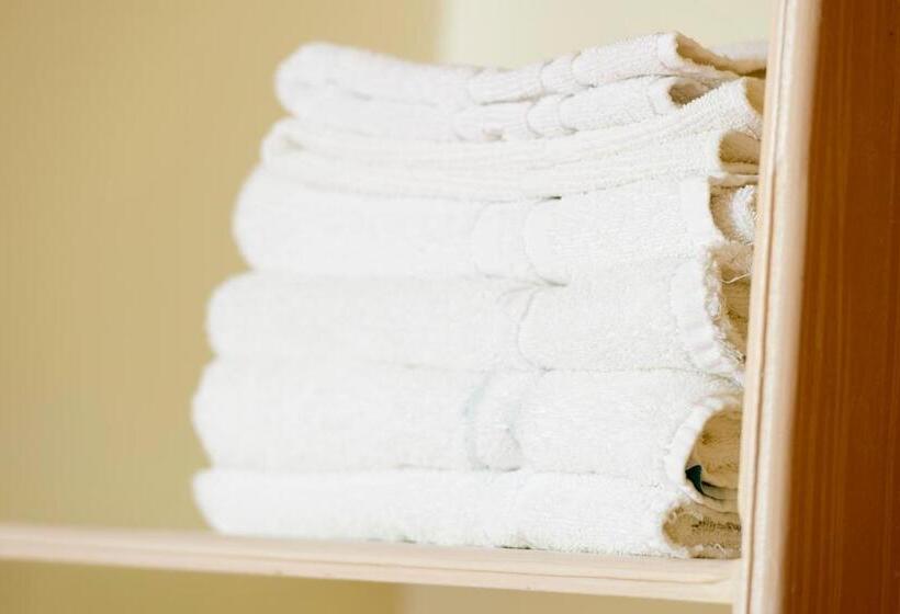 Номер Стандарт, Macdonald