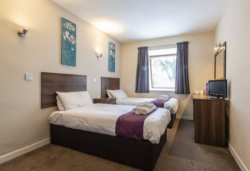 高级大房间, The Dene