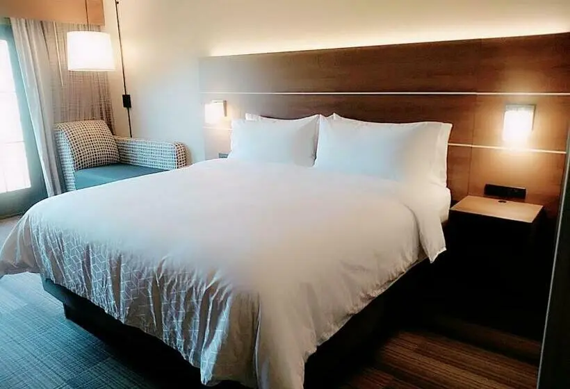 キングサイズベッドのスタンダードルーム, Holiday Inn Express Durango Downtown  Animas River