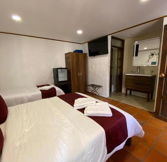 Трехместный Номер Стандарт Вид на Сад, Casona Del Virrey