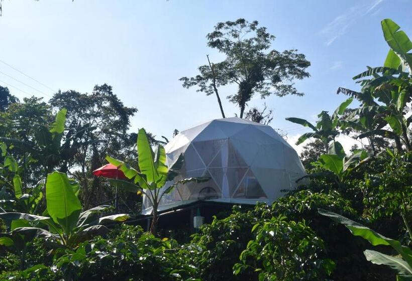 Standard Tent, Hostal Fisterra