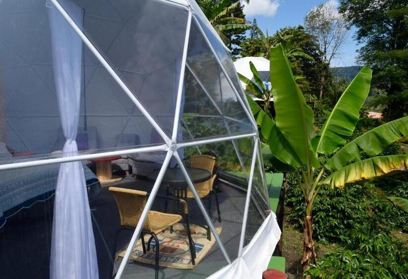 Standard Tent, Hostal Fisterra