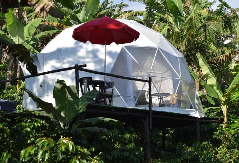 Standard Tent, Hostal Fisterra