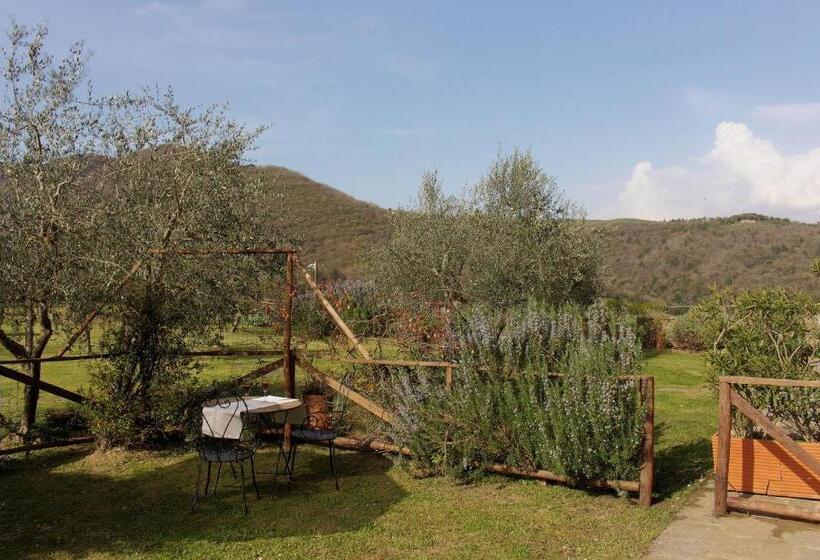 דירת חדר בקומת קרקע, Agriturismo Casavecchia