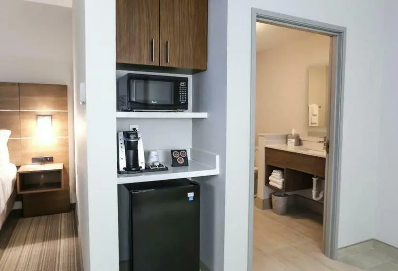 キングサイズベッドのスタンダードルーム, Holiday Inn Express & Suites   Houston Iah   Beltway 8, An Ihg