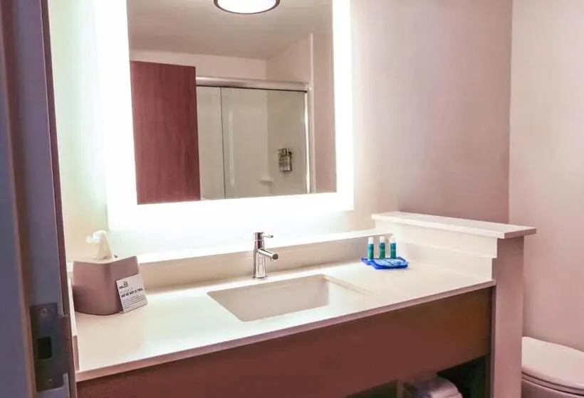 身障者適用キングサイズベッドルーム, Holiday Inn Express & Suites   Houston Iah   Beltway 8, An Ihg