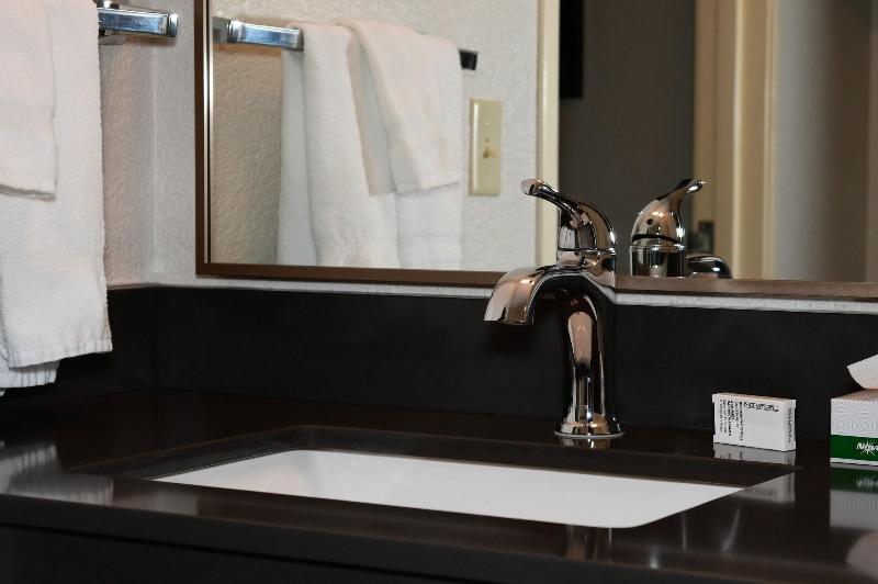 スタンダードルーム, Holiday Inn Express & Suites   Houston Iah   Beltway 8, An Ihg