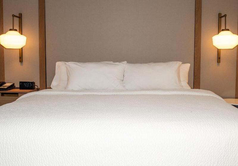 スタンダードルーム, Holiday Inn Express & Suites   Houston Iah   Beltway 8, An Ihg