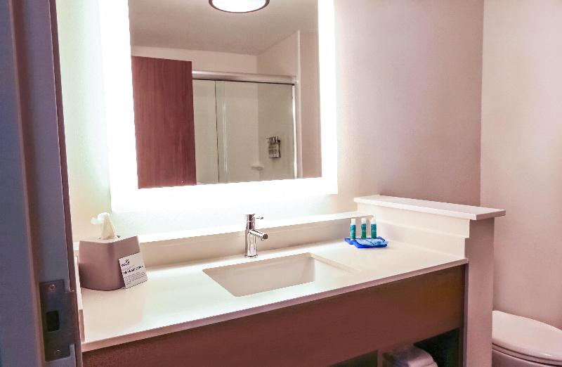身障者適用キングサイズベッドルーム, Holiday Inn Express & Suites   Houston Iah   Beltway 8, An Ihg