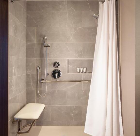 اتاق استاندارد با تخت بزرگ برای معلولان, Grand Hyatt Nashville