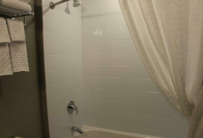 غرفة قياسية, Best Western Plus Dauphin