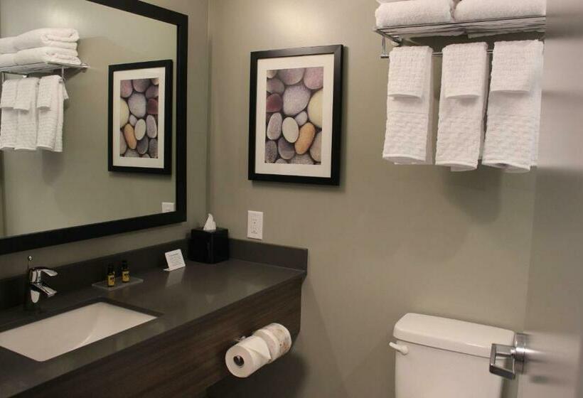 스탠다드 룸, Best Western Plus Dauphin