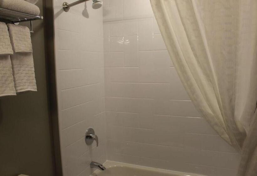 غرفة قياسية سرير ملكى, Best Western Plus Dauphin