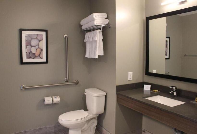 身障者適用キングサイズベッドルーム, Best Western Plus Dauphin