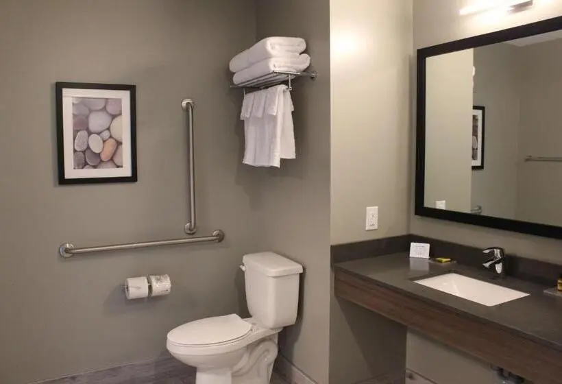身障者適用キングサイズベッドルーム, Best Western Plus Dauphin